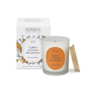 Nasoterapia Candela Profumata Ambra e Legno Di Sandalo 180g