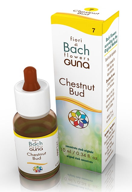 Chestnut bud gocce 10 ml