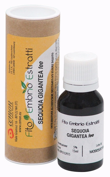 Fee sequoia gigantea 15 ml