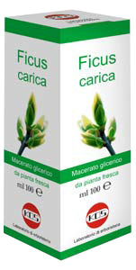 Ficus carica macerato glicerico 100 ml