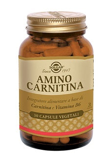 Amino carnitina 30 cápsulas