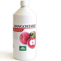 Mangostano succo 1l