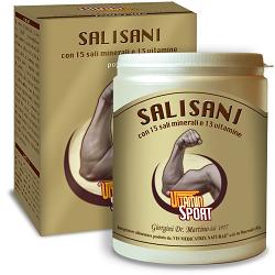 Salisani vitaminsport 360 g polvere