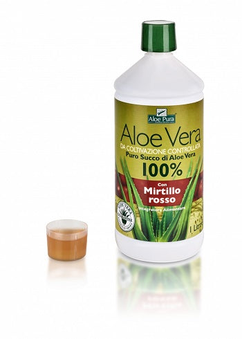 Aloe vera succo mirtillo rosso 1 l