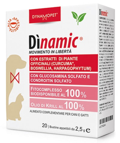 Dinamic 20 bustine 2,5 g