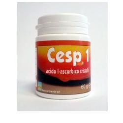 Cesp 1 powder 60 g with measuring cup