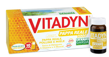 Vitadyn pappa reale 1000 10 flaconcini 10 ml