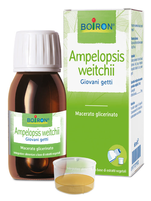 Ampelopsis weitchii macerato glicerico 60 ml int