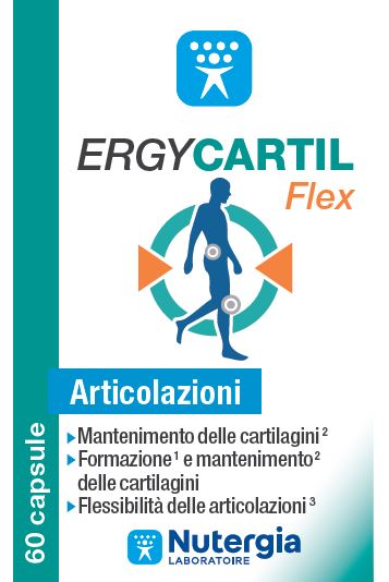 Ergycartil flex 60 capsule